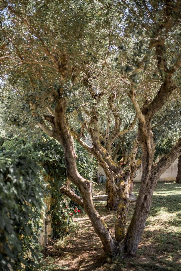 Rodami Artisan Manor Zakynthos