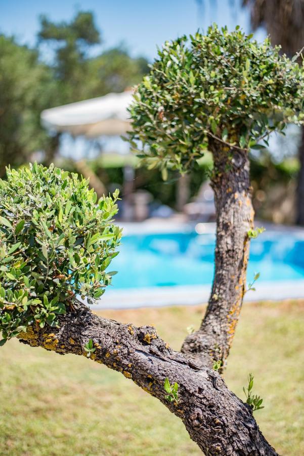 Rodami Artisan Manor Vila *